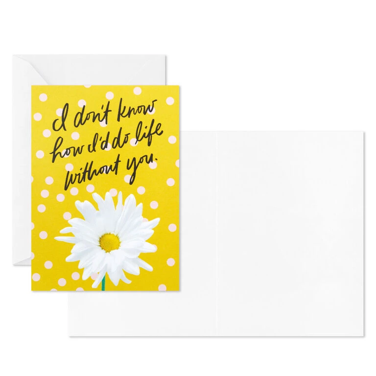 Hallmark Colorful Daisies Boxed Thank-You Notes, Pack Of 50 - Image 4