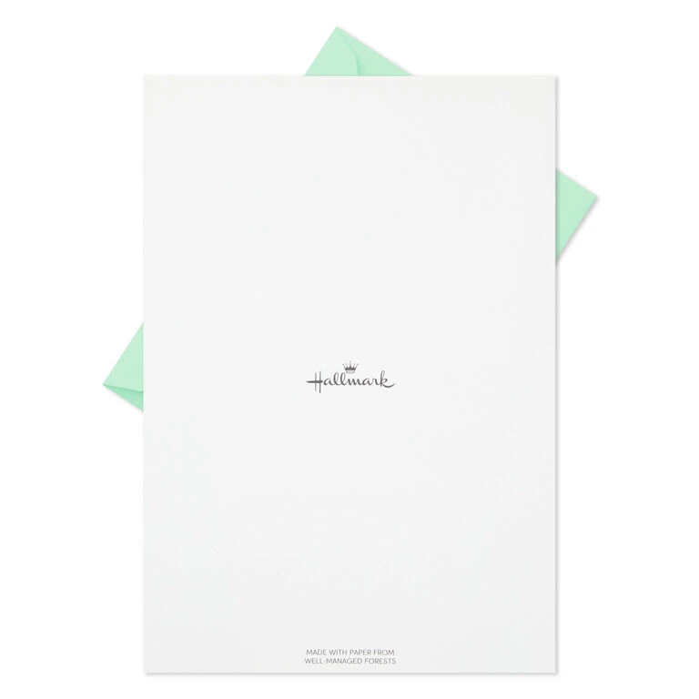 Hallmark Fern Border Stationery Set, 20 Sheets - Image 5